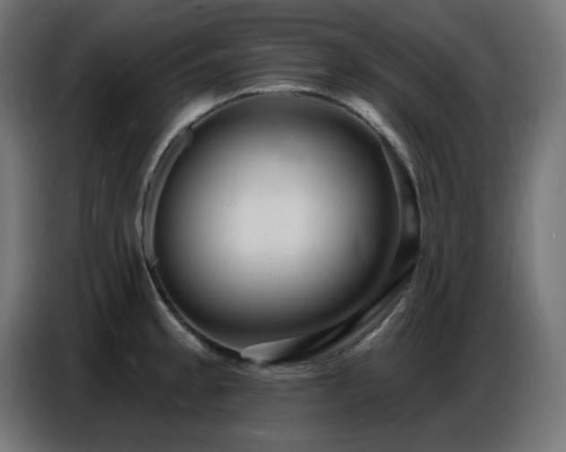X0000086751189200704131144