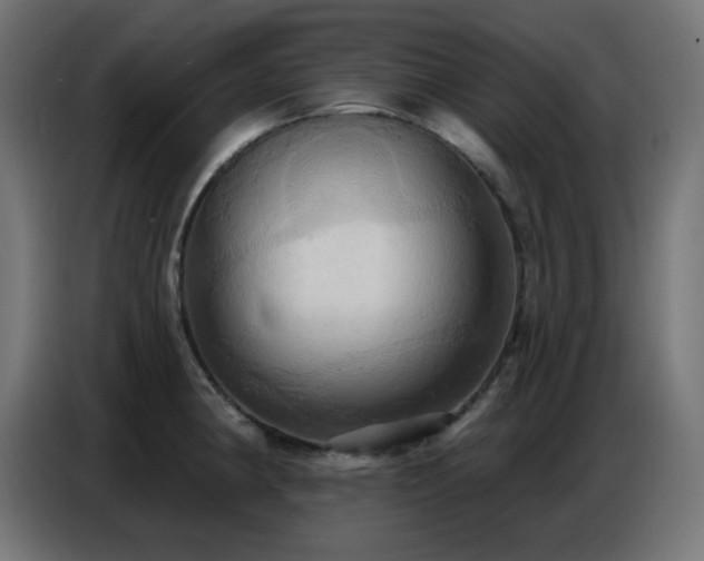 X0000086751190200704131144