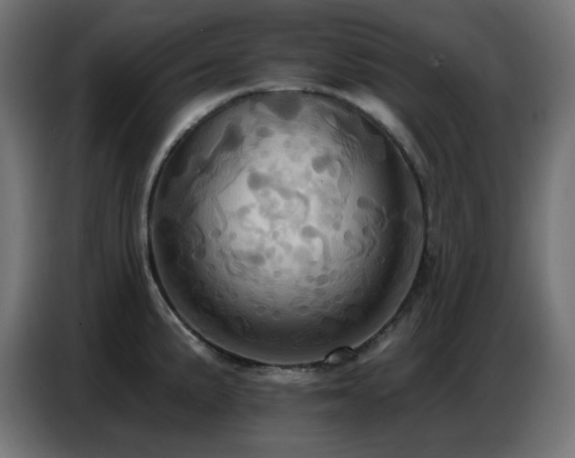 X0000086751191200704131144