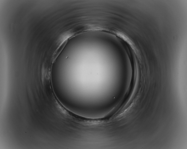 X0000086751193200704131144