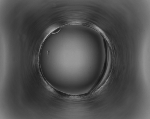X0000086751194200704131144