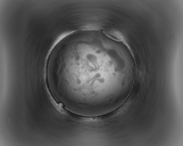X0000086751195200704131144