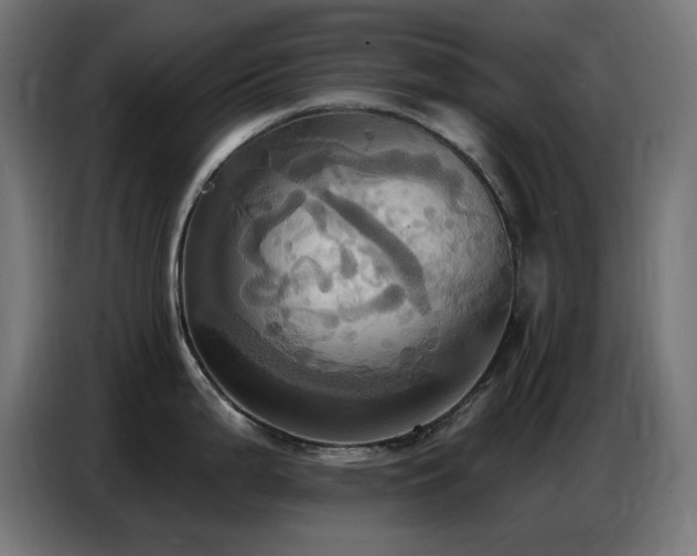X0000086751199200704131144