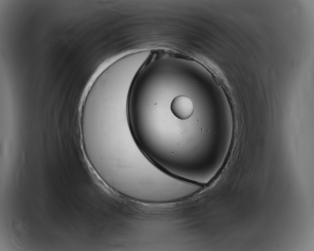 X0000086751200200704131144