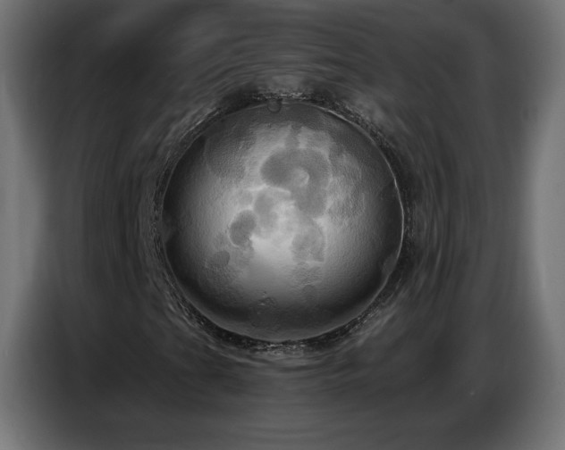 X0000086751201200704131143