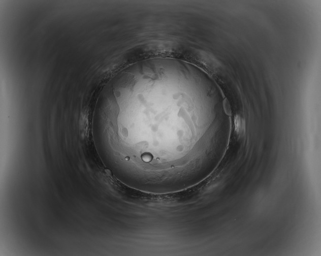 X0000086751203200704131143