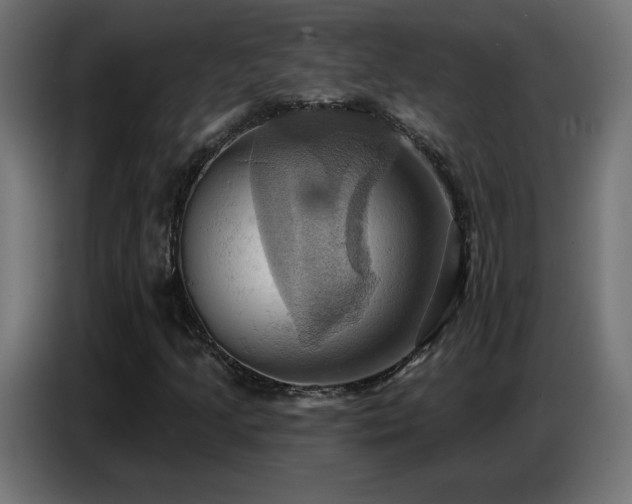 X0000086751205200704131143