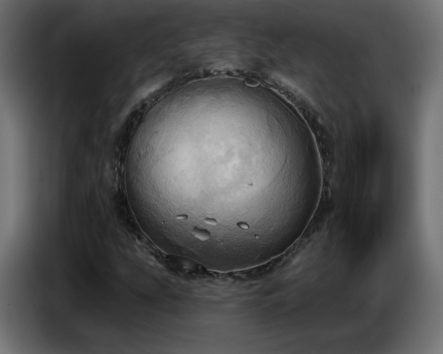 X0000086751207200704131143