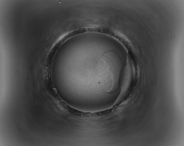 X0000086751208200704131143