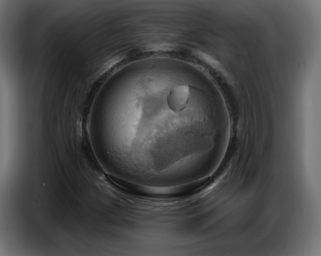 X0000086751209200704131143