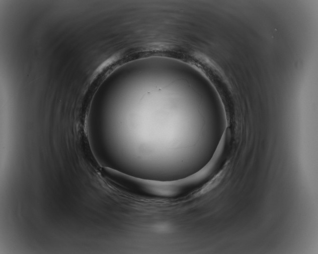 X0000086751210200704131143