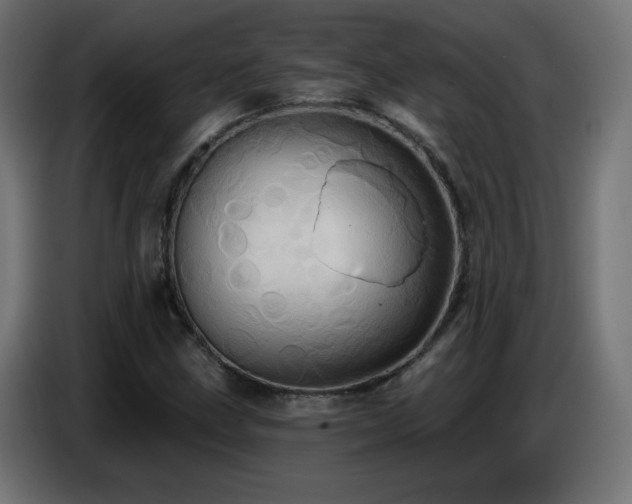 X0000086751211200704131143