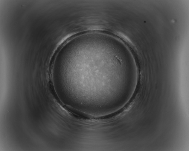 X0000086751212200704131143