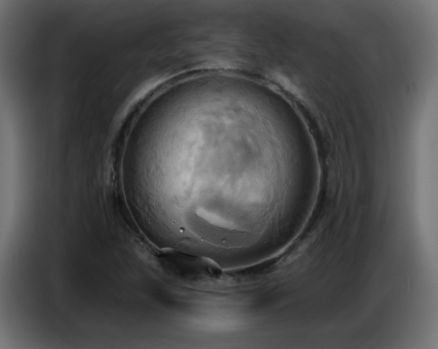 X0000086751215200704131144