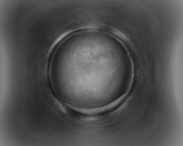 X0000086751216200704131144