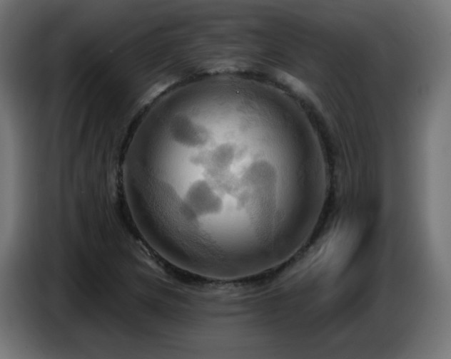 X0000086751217200704131144