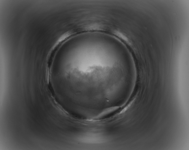X0000086751219200704131144