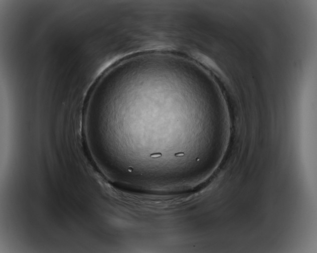 X0000086751220200704131144
