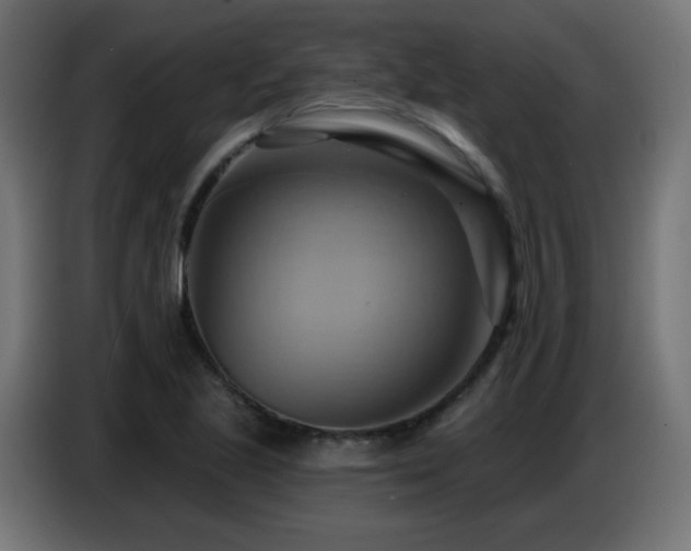X0000086751221200704131144