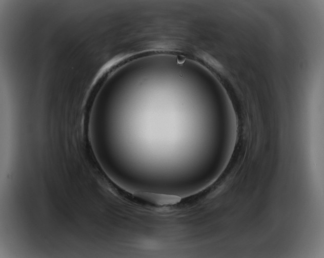 X0000086751222200704131144