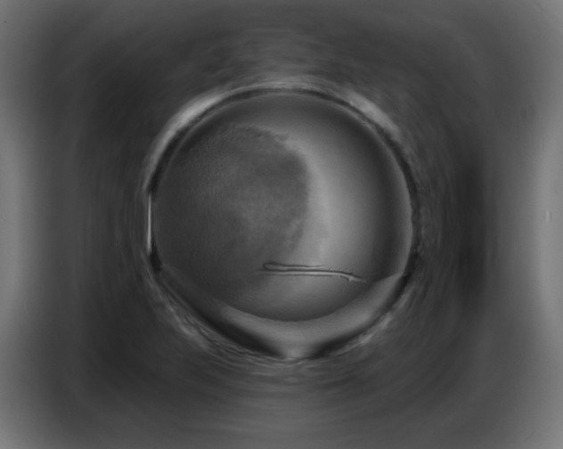 X0000086751223200704131144