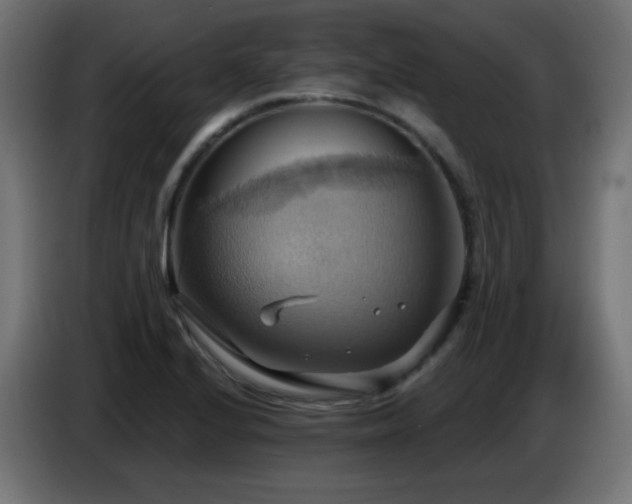 X0000086751224200704131144