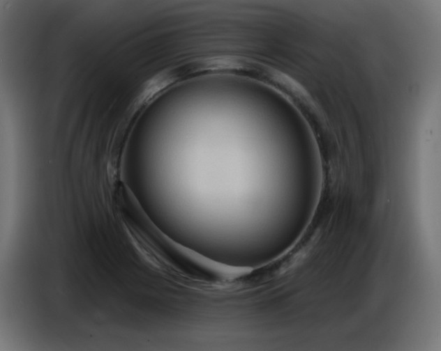 X0000086751225200704131144
