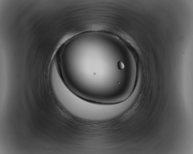 X0000086751226200704131144