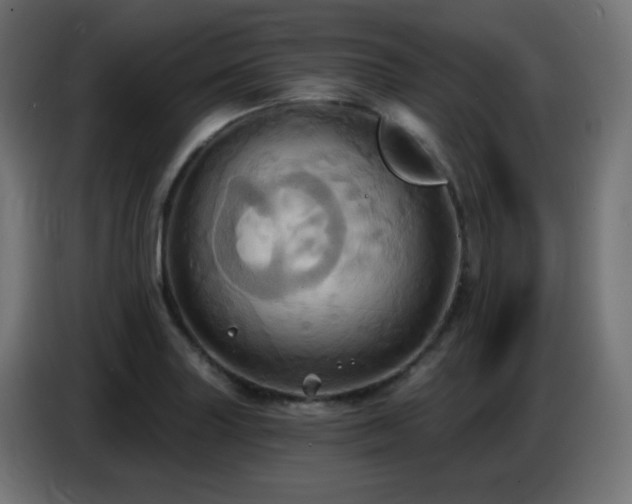 X0000086751227200704131144