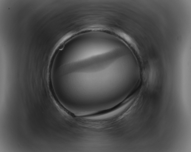 X0000086751229200704131144
