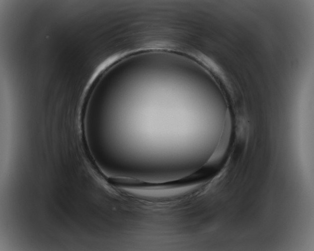 X0000086751230200704131144