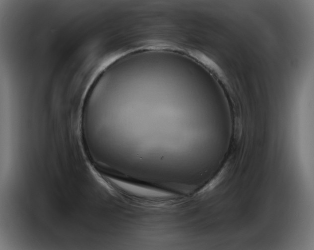 X0000086751231200704131144