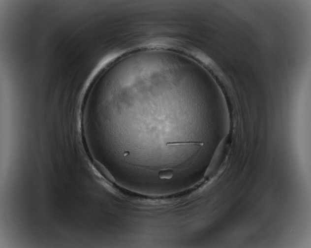 X0000086751232200704131144