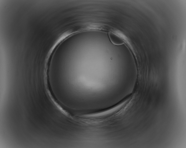 X0000086751235200704131144