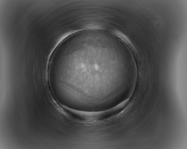 X0000086751236200704131144