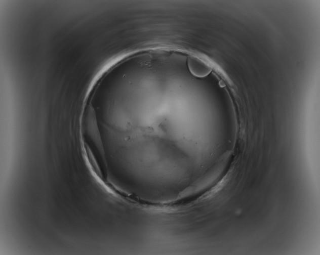 X0000086751239200704131144