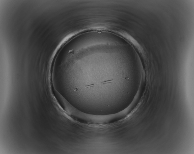 X0000086751240200704131144