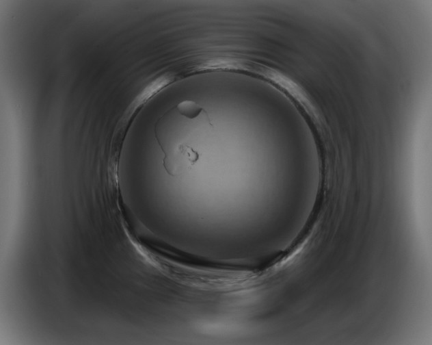 X0000086751241200704131144
