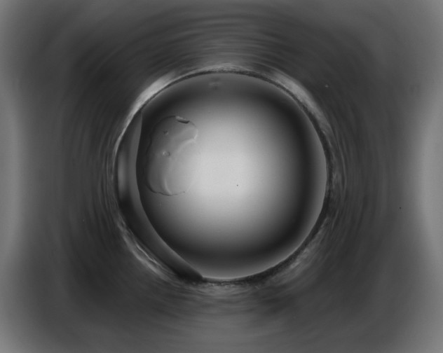 X0000086751242200704131144