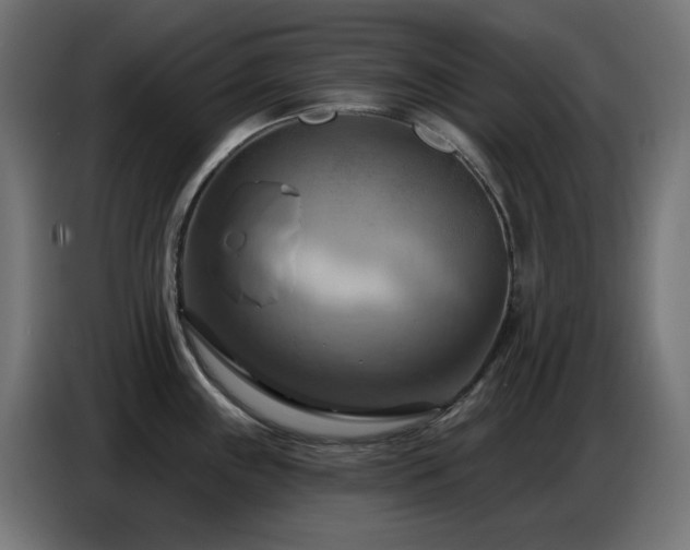 X0000086751243200704131144
