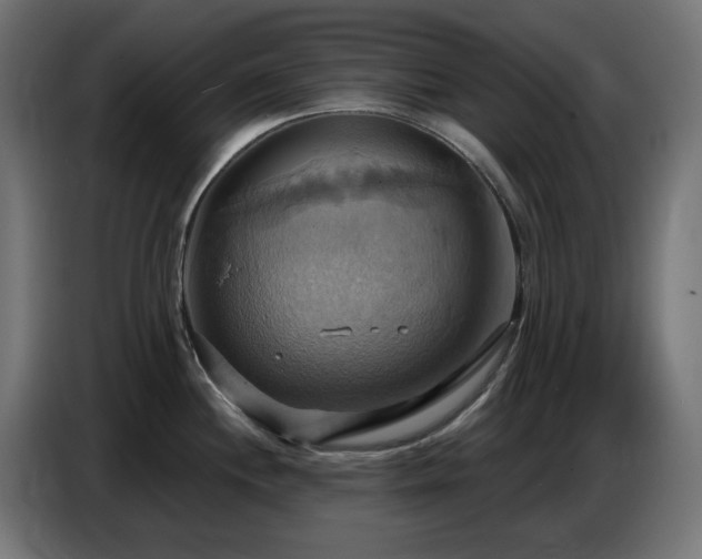 X0000086751244200704131144