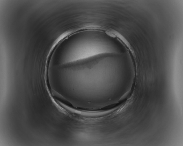 X0000086751245200704131144
