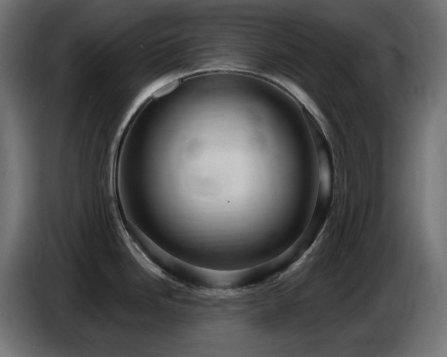 X0000086751246200704131144