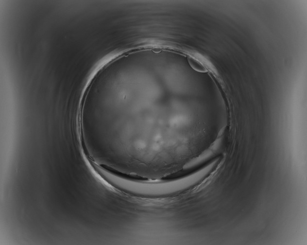 X0000086751247200704131144