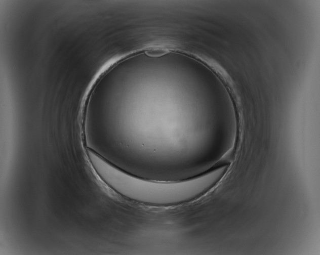 X0000086751248200704131144