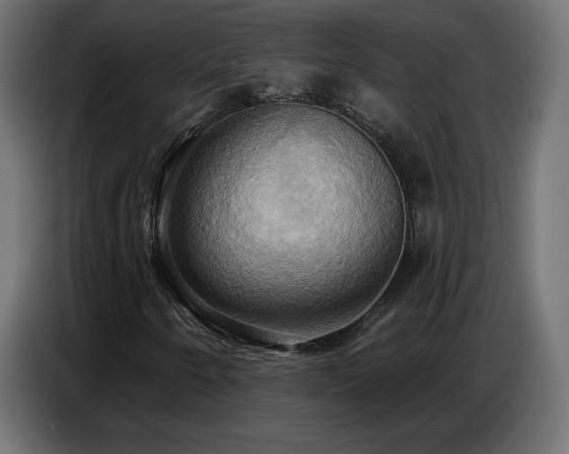 X0000086751250200704131143