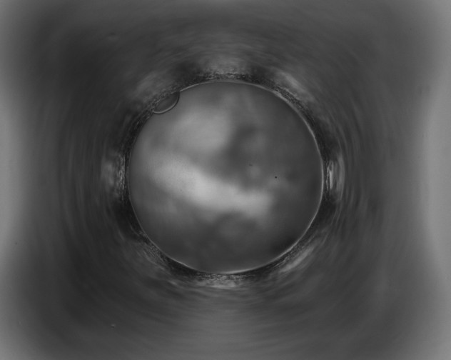 X0000086751251200704131143