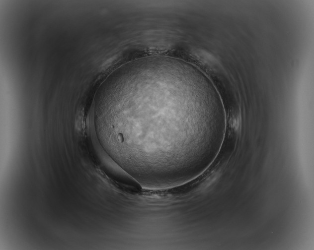 X0000086751252200704131143