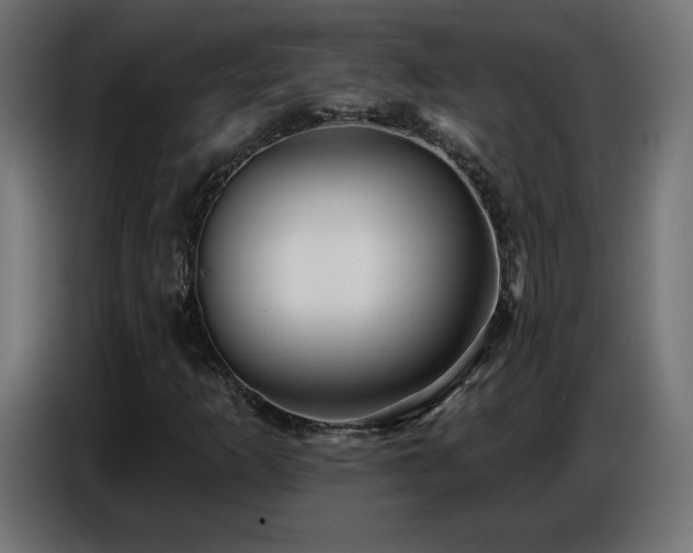 X0000086751253200704131143