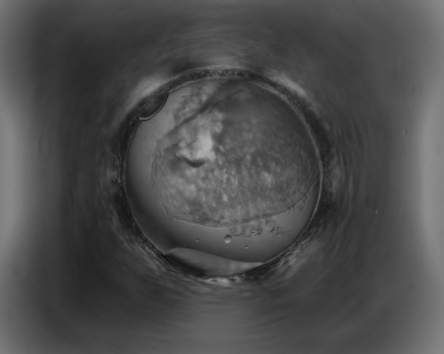 X0000086751255200704131143